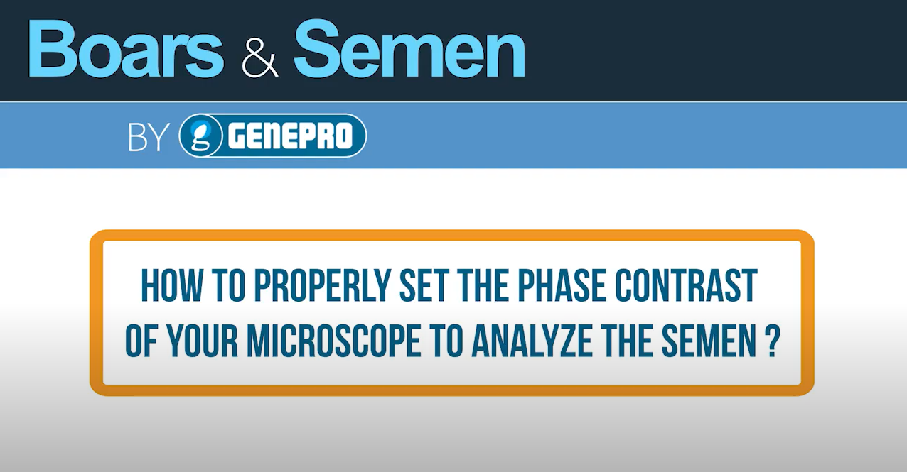 How properly set the phase contrast of your microscope