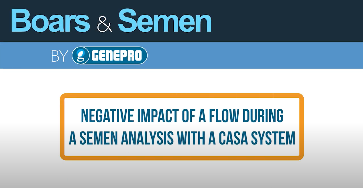Negative impact of a flow during a semen analysis with a casa system